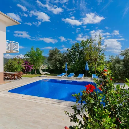 Villa Oezel Havuzlu - Goecek
