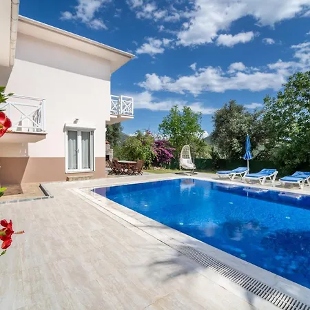 Oezel Havuzlu - Goecek Villa