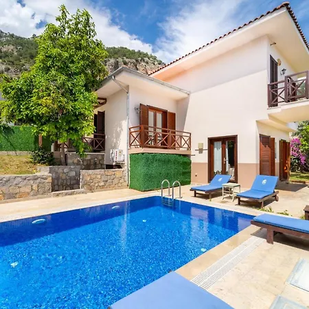 Villa Oezel Havuzlu - Goecek